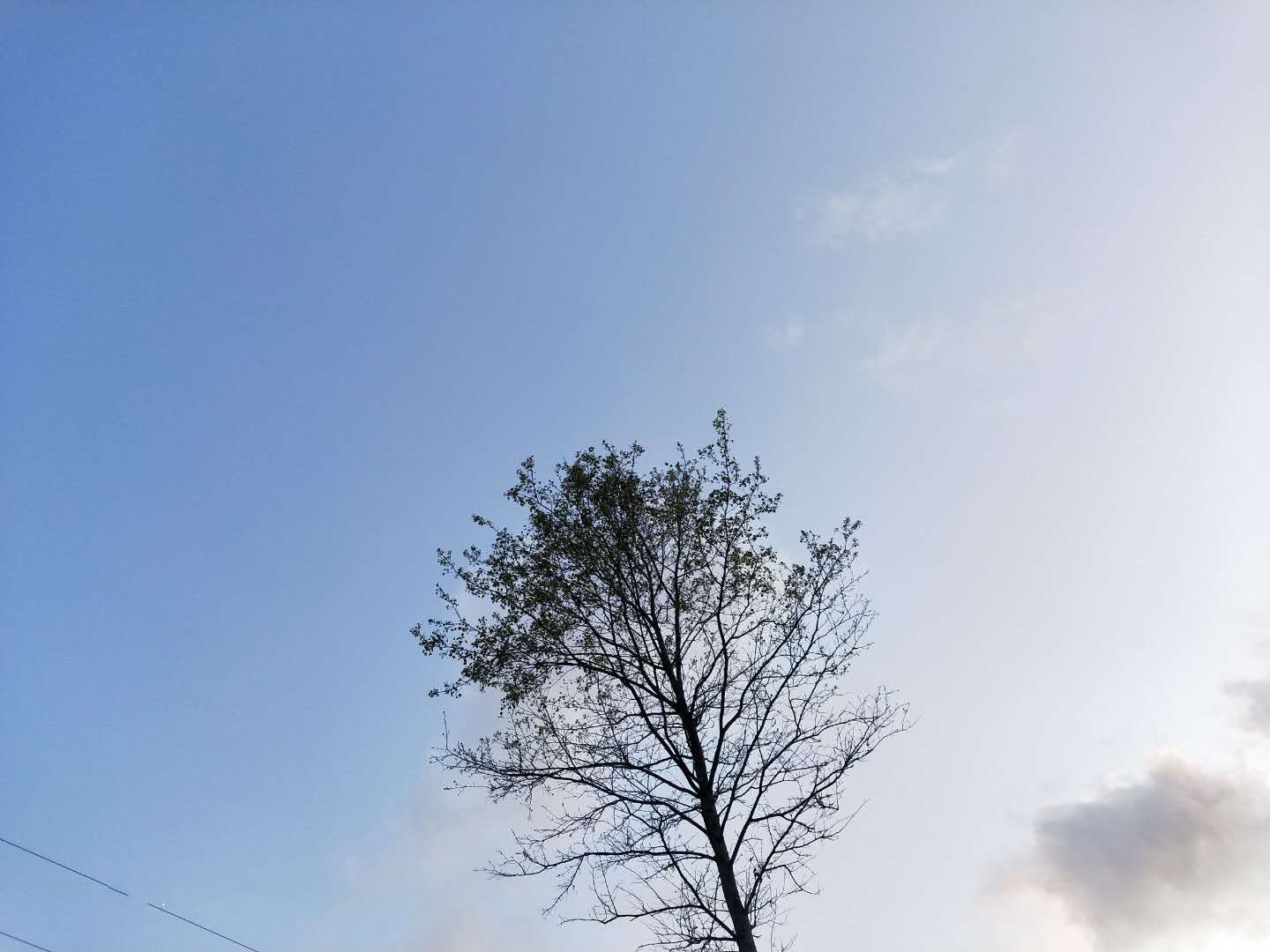 7df55d31e86c42c0ae73242fd82b527a.Jpeg