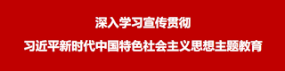深入学习宣传贯彻习近平新时代中国特色社会主义思想主题教育