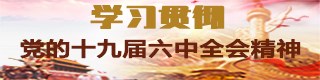 学习贯彻党的十九届六中全会精神